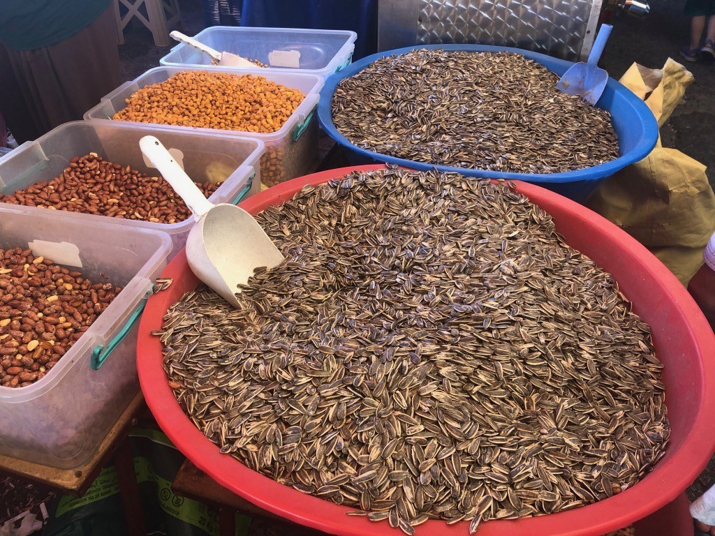 11. semechki v turcii