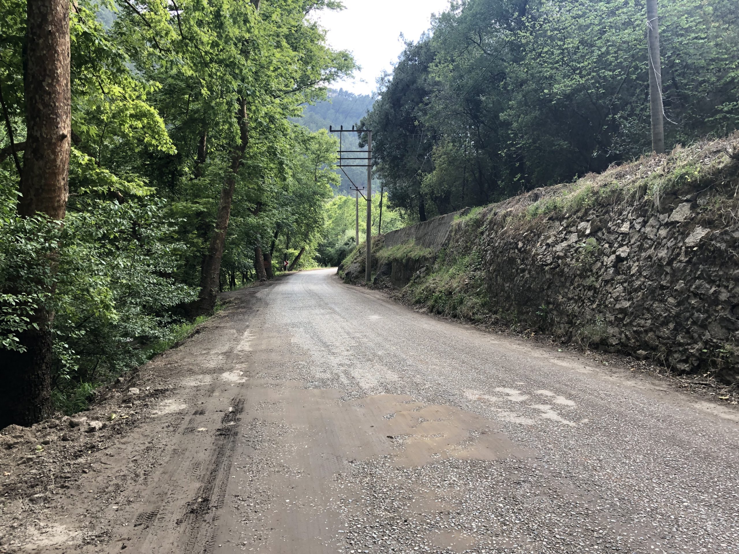 doroga vdol dimchaja scaled