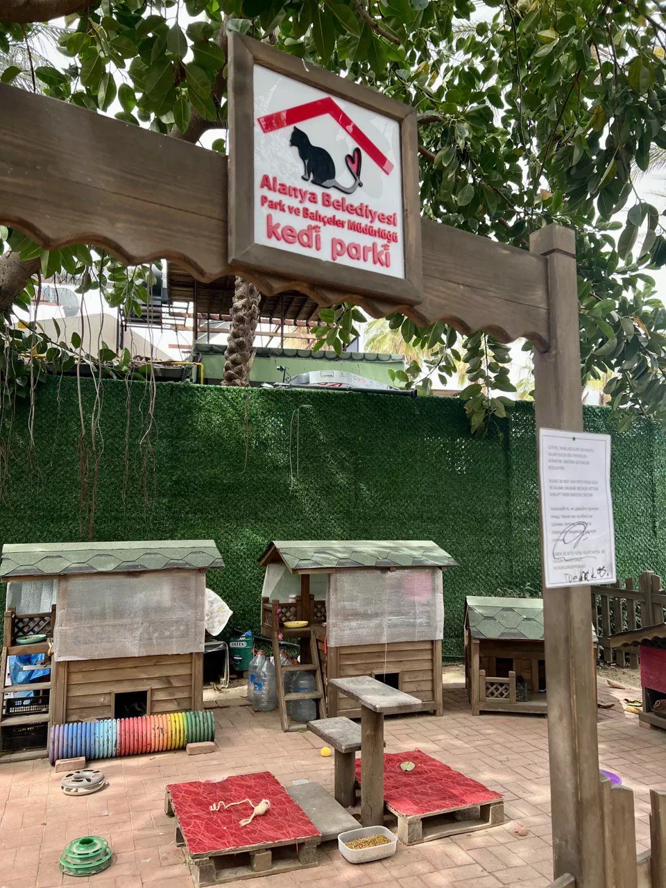 photo 2022 08 11 15 29 54