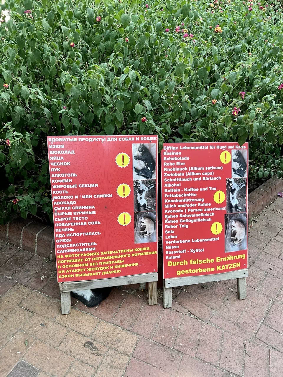 photo 2022 08 11 15 30 09