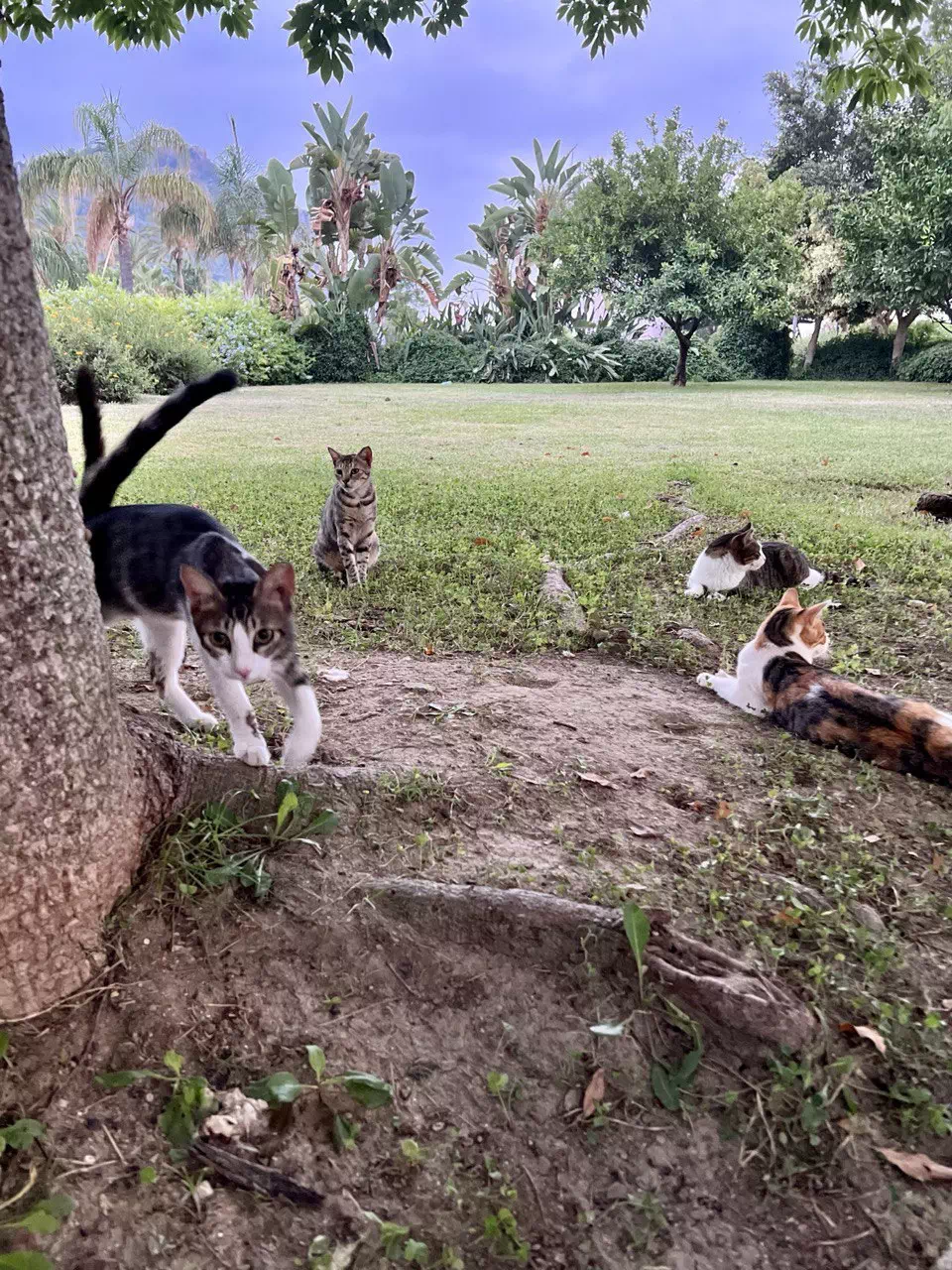 photo 2022 08 11 15 30 18