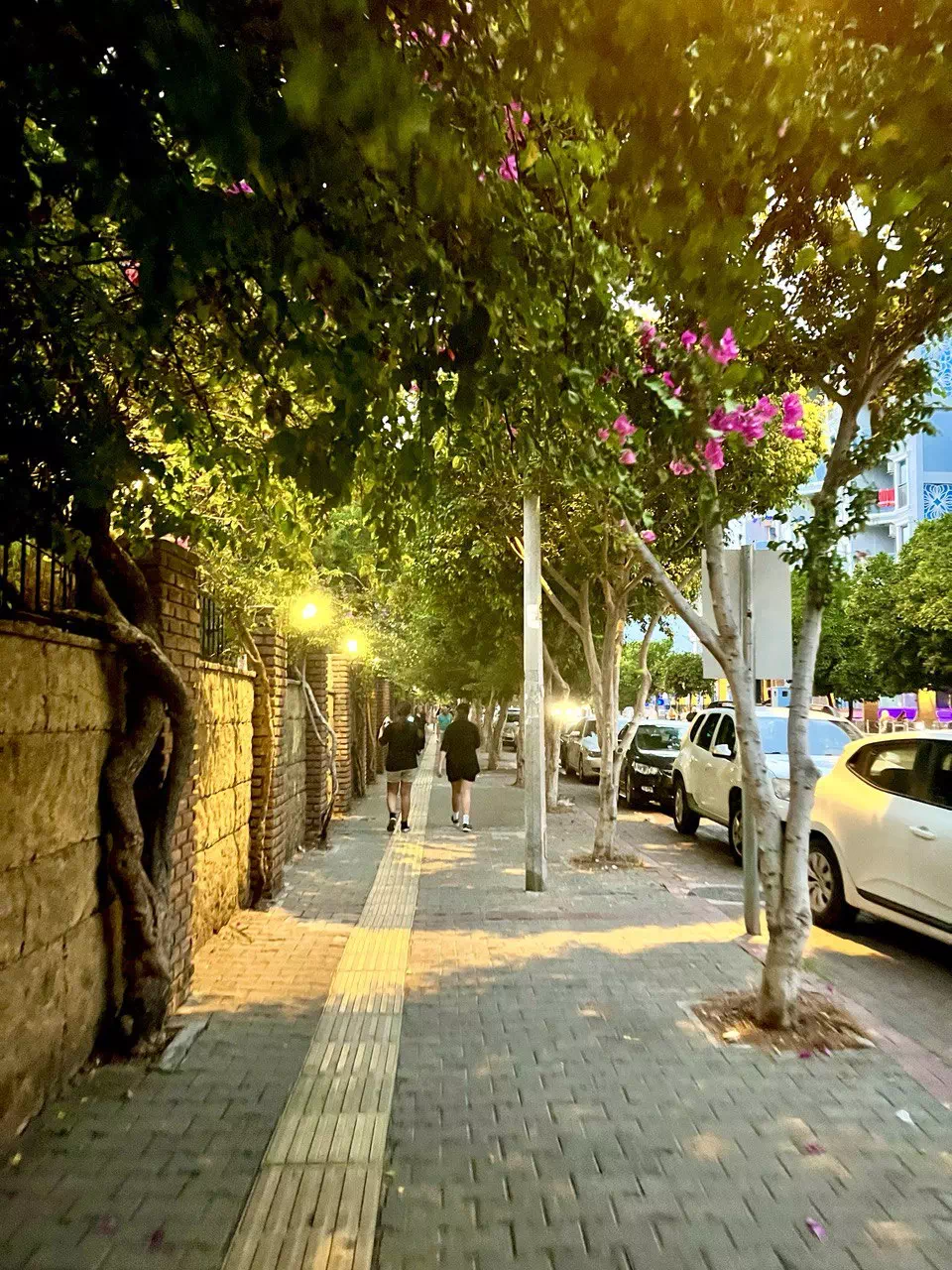 photo 2022 08 11 15 30 23