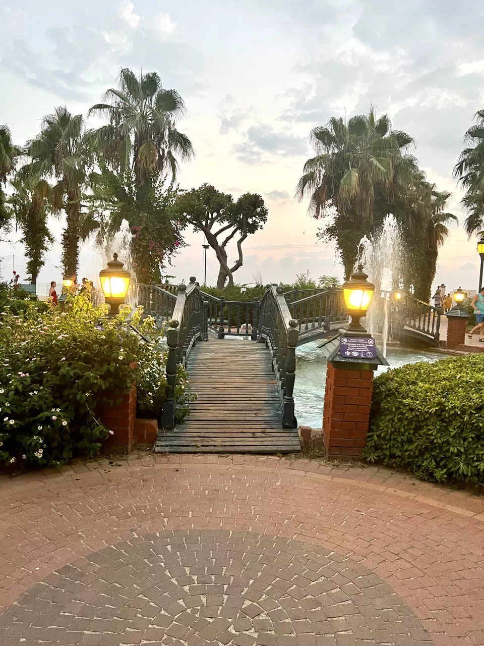 photo 2022 08 11 15 30 25