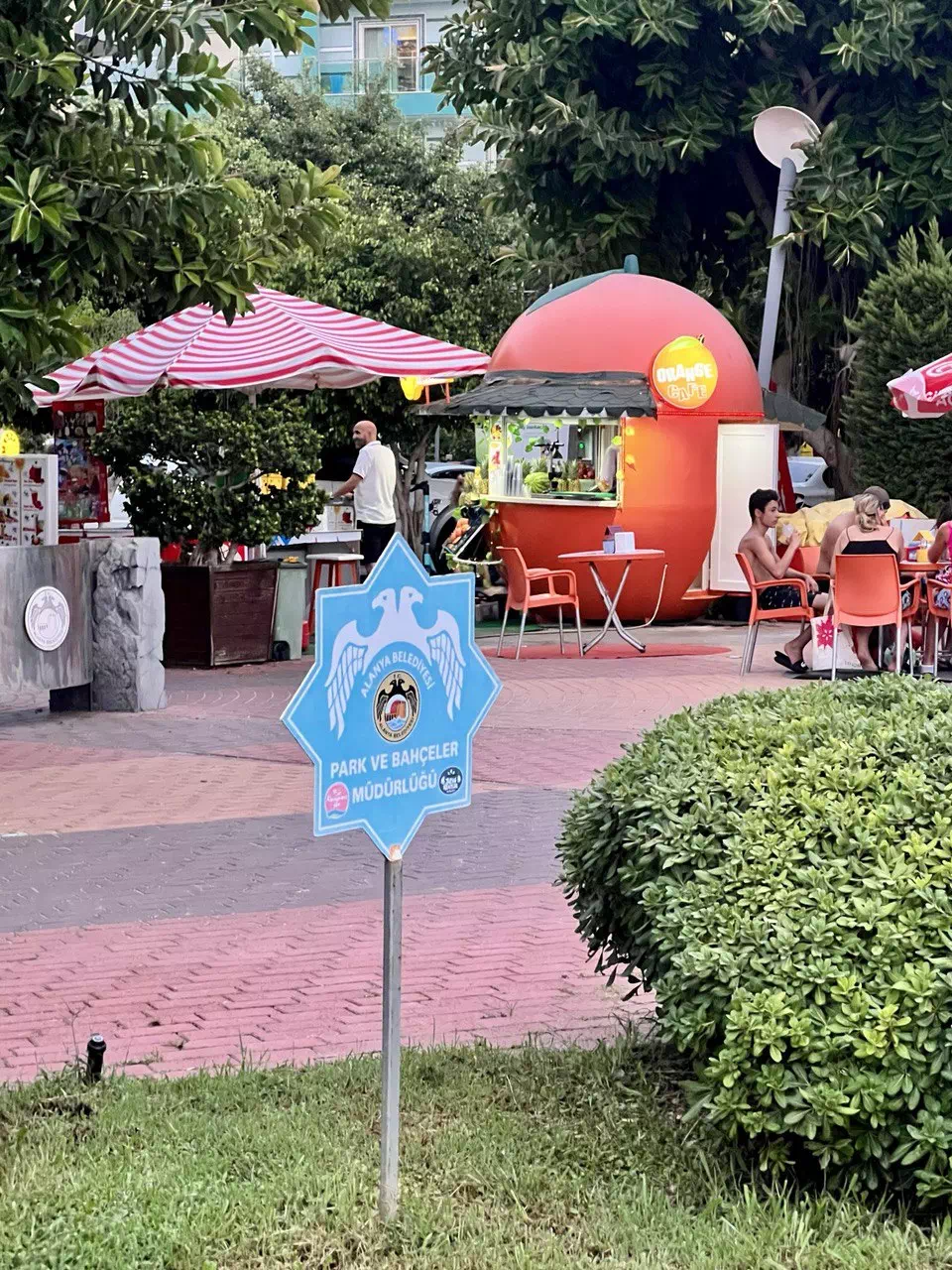 photo 2022 08 11 15 30 31