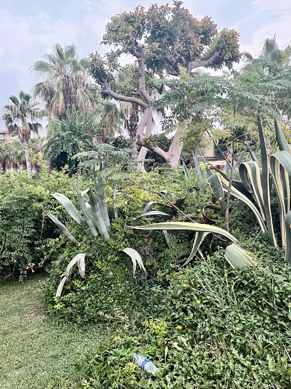 photo 2022 08 11 15 30 38