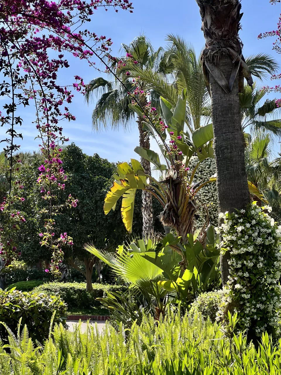 photo 2022 08 11 15 41 53