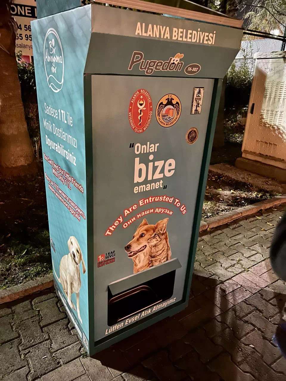 photo 2022 08 11 15 48 36