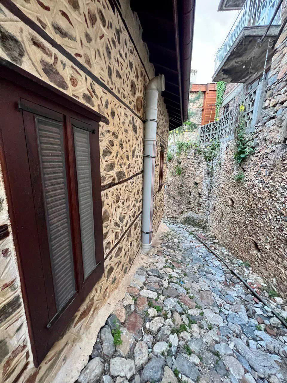 photo 2022 08 19 00 57 43