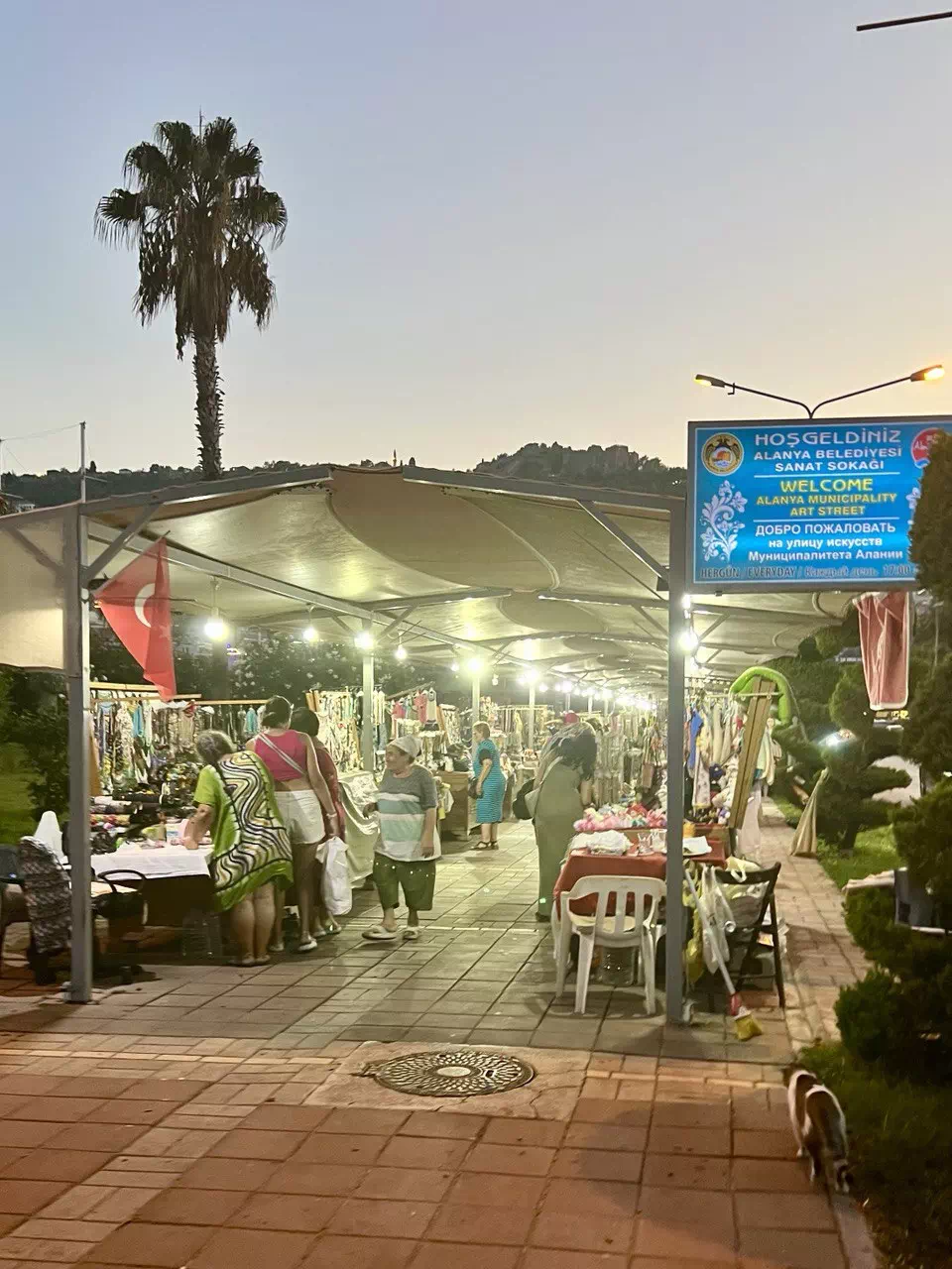 photo 2022 08 24 22 47 42