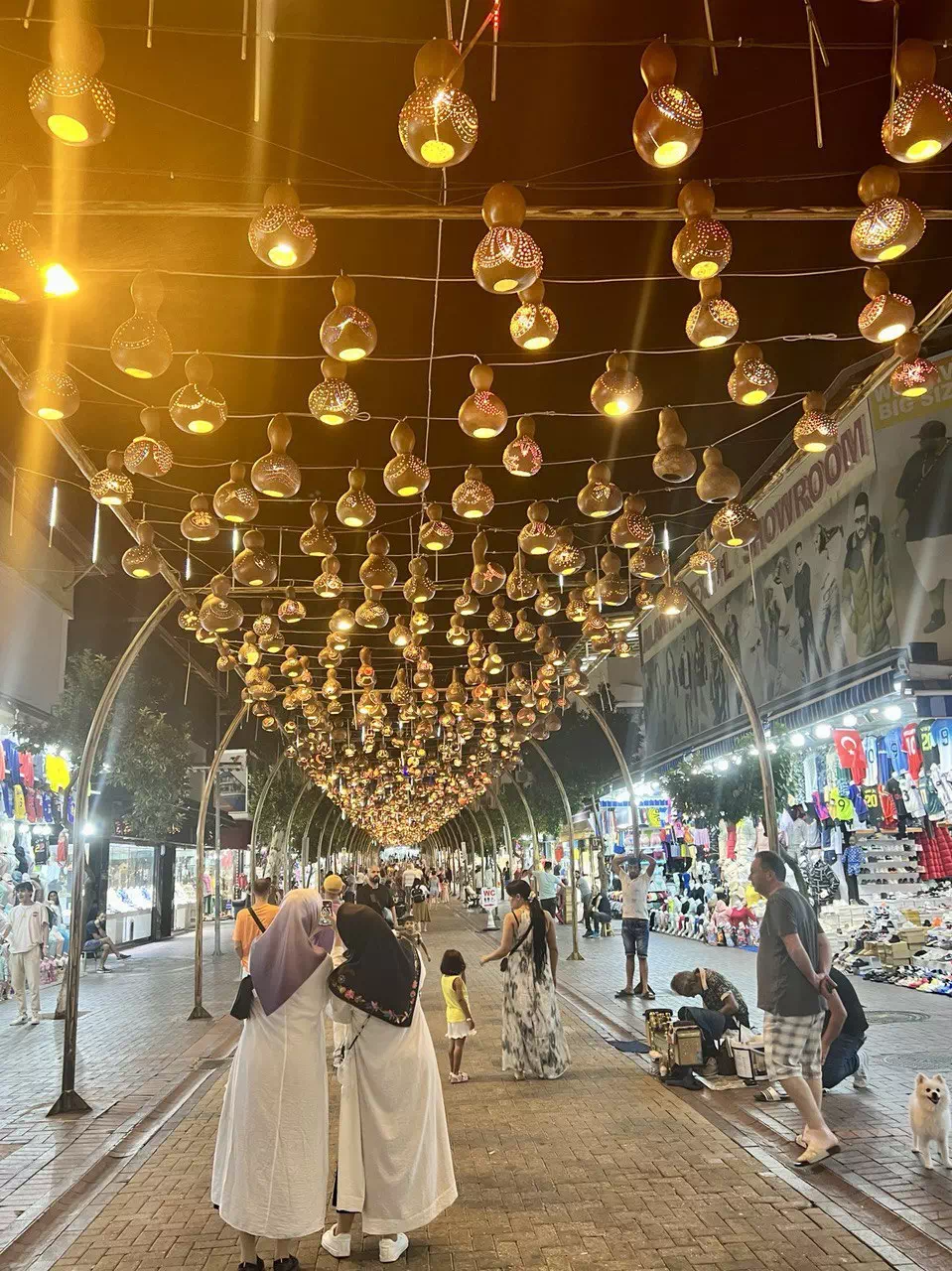 photo 2022 08 25 00 41 34