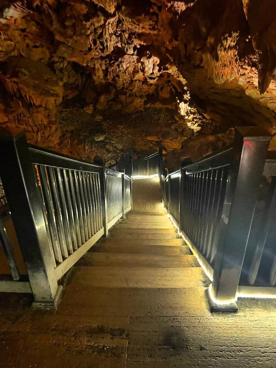 photo 2022 09 06 17 23 47