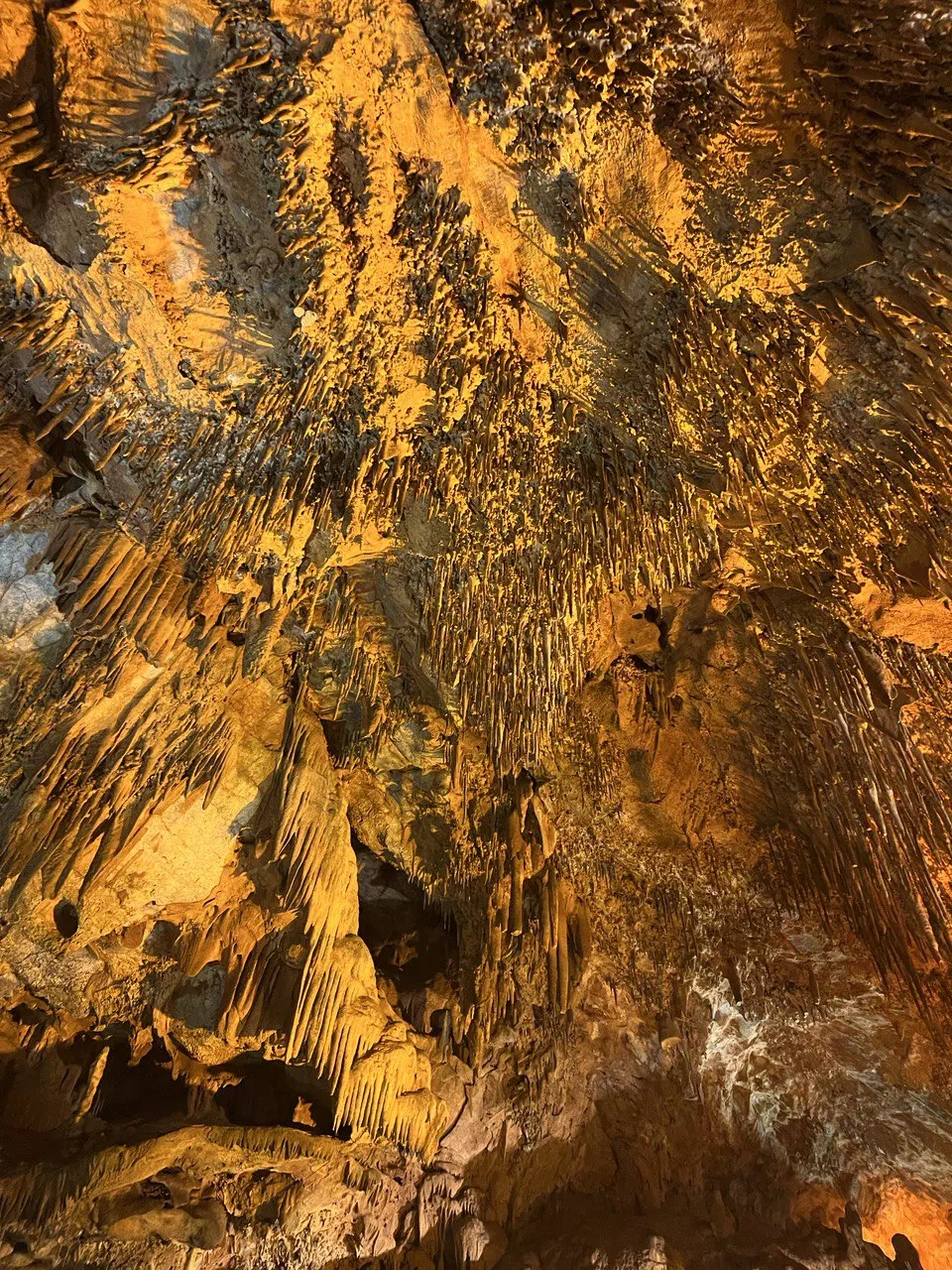 photo 2022 09 06 17 24 41