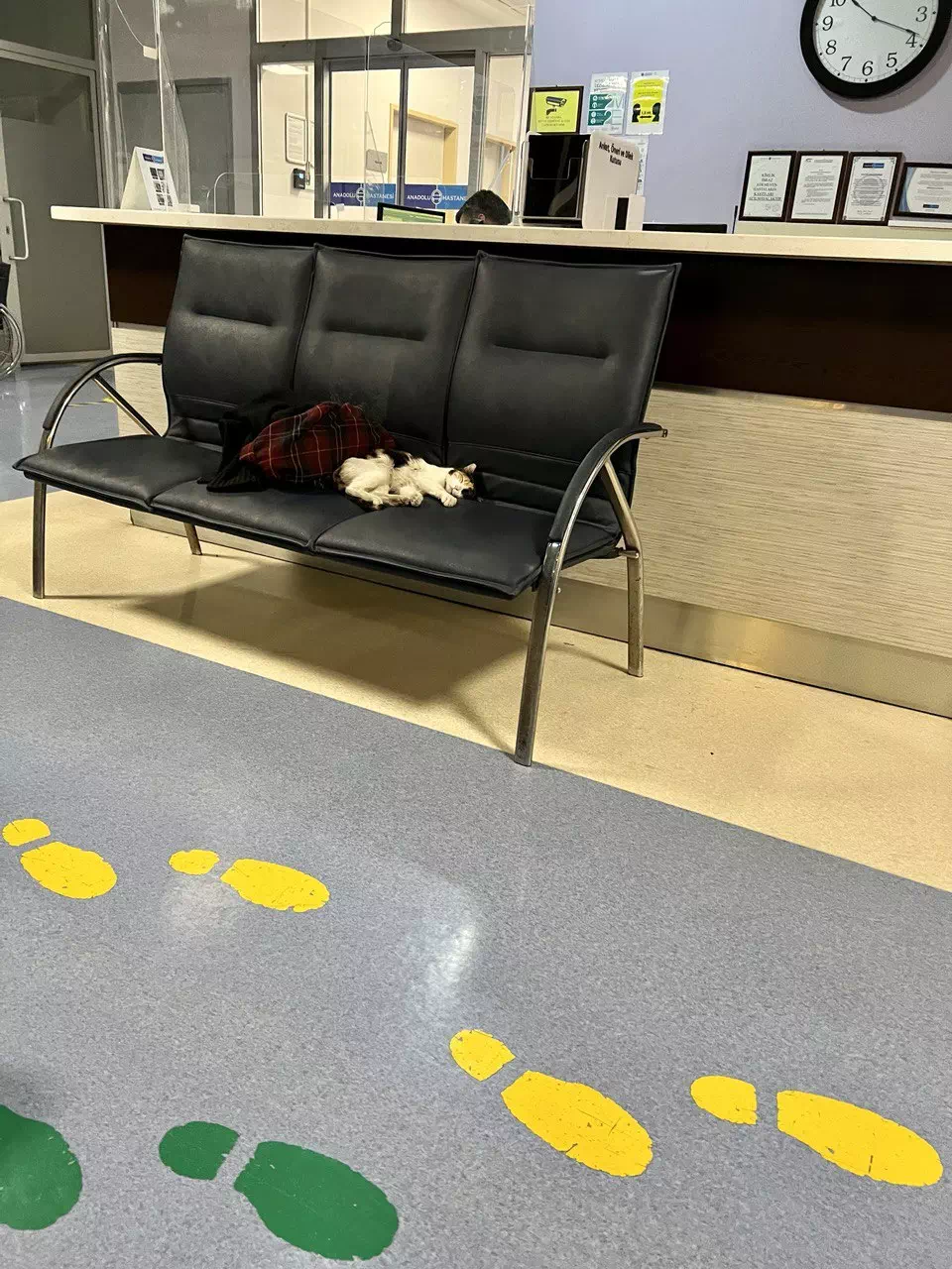 photo 2022 09 06 17 37 11